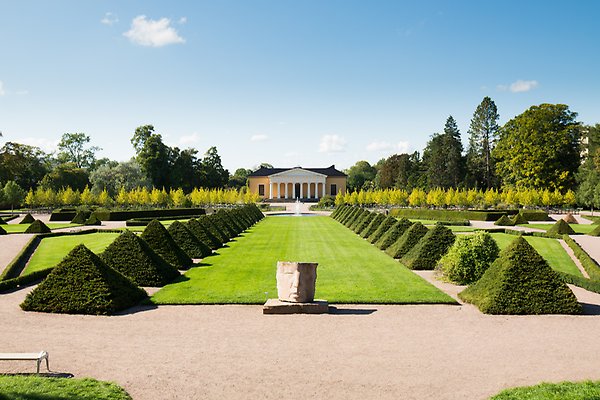 Rows of fir trees trimmed like pyramids outside the front of the Orangery. At the front is a sculpture.
