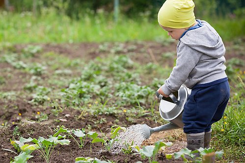 Litet barn vattnar plantor med vattenkanna.